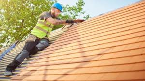 Best Roof Maintenance and Cleaning  in Shelton, WA